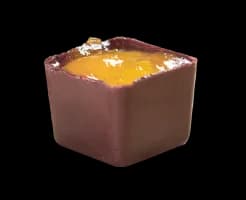 Mini White Chocolate Truffle with Apricot Jam